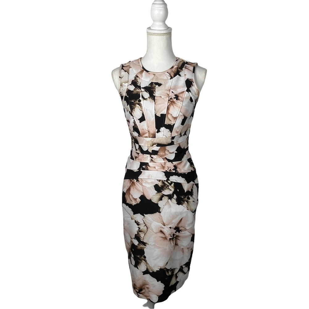 Calvin Klein Women's Sleeveless Paneled Bodice Sheath Floral Dress Size 2